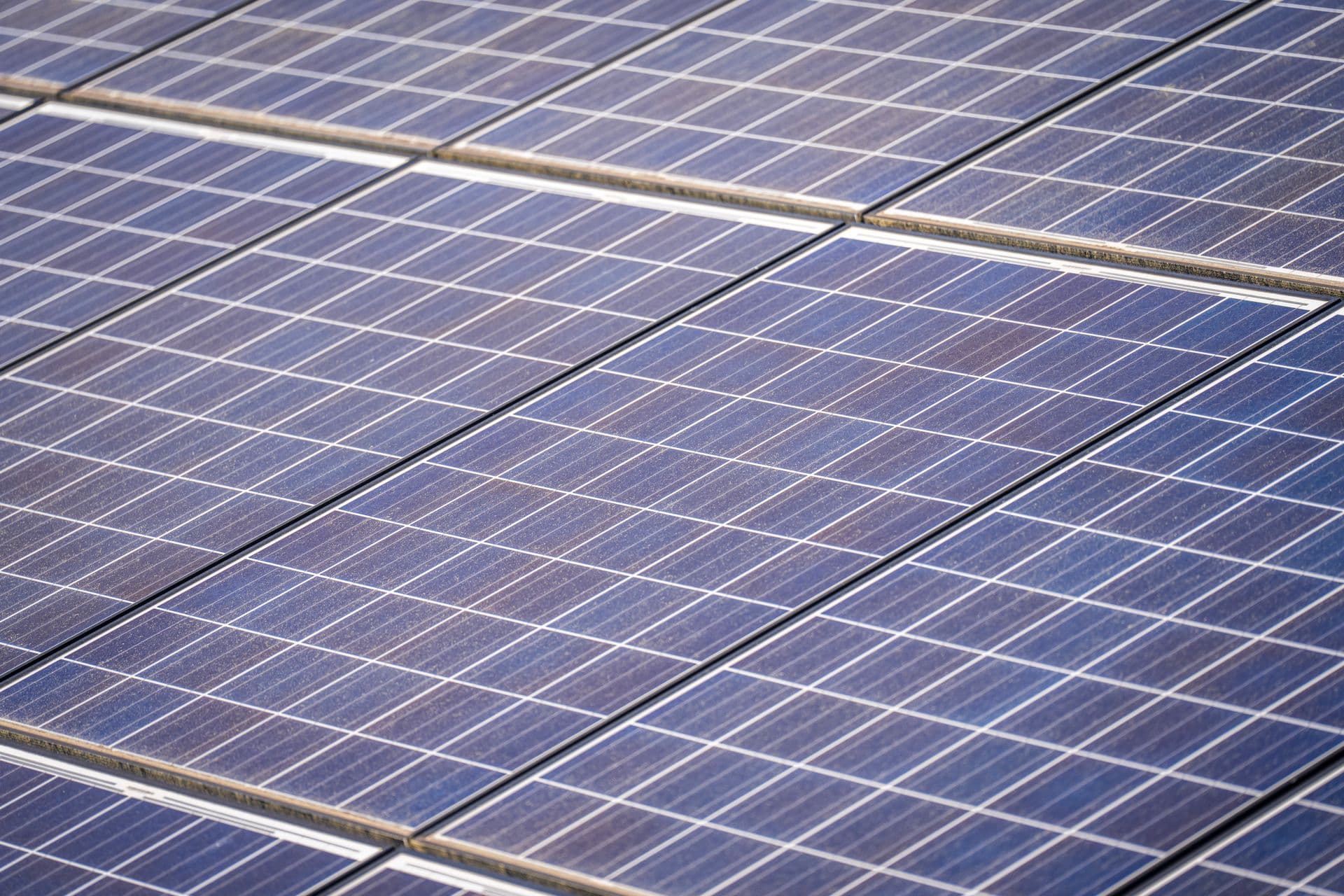 Champ de panneaux photovoltaïques